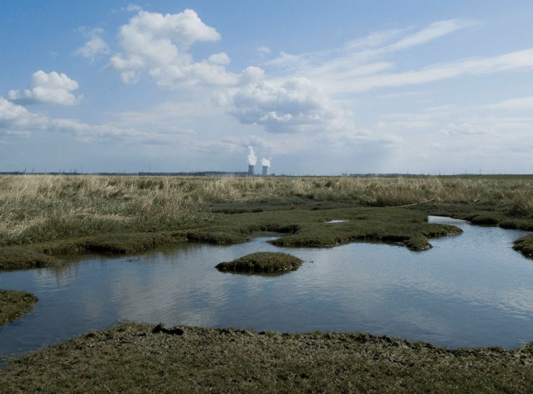 Verdronken land van Saeftinghe tijdens één van de winterwandelingen in Zeeland is echt een aanrader!