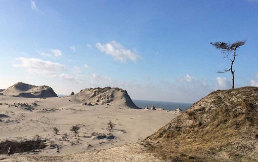 Natuur strand op Schouwen-Duiveland