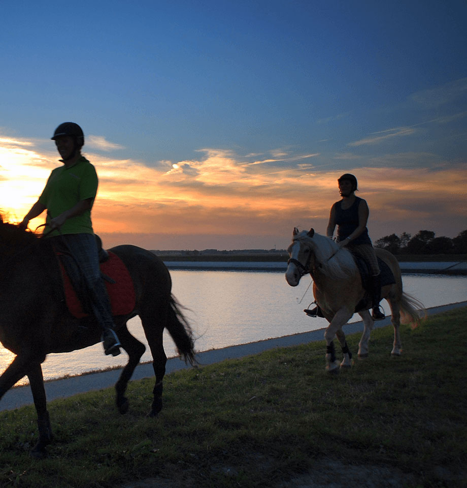 Paardrijden langs het water in gemeente Tholen