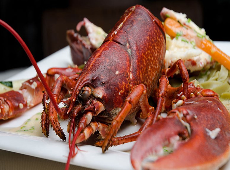 Geniet van alles wat er uit de zee komt, vers op je bord. In Zeeland kan je culinair genieten. Culinair en food in Zeeland.