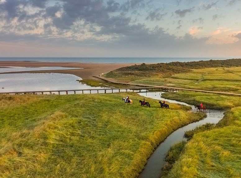 Genieten van de Zeeuwse natuur