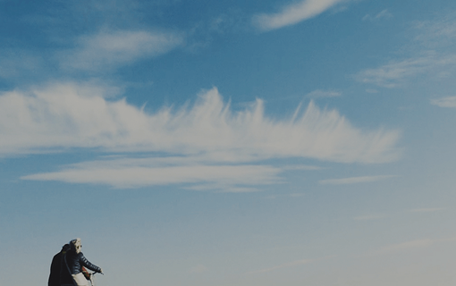 Fietsen door de polder