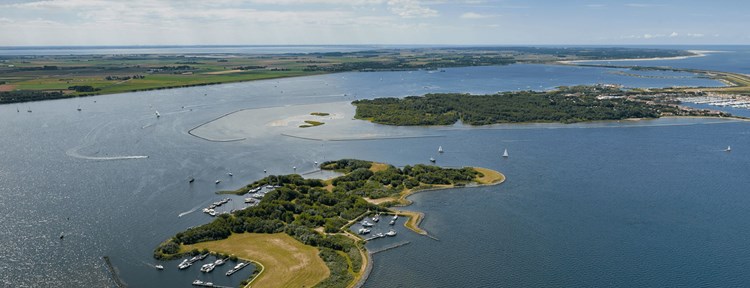 Het Verdronken Land van Saeftinghe behoord tot natuur Zeeland kan bieden