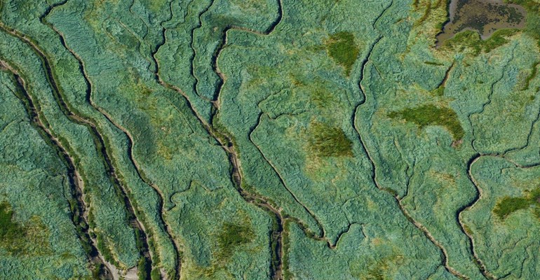 Verdronken Land van Saeftinghe Zeeland