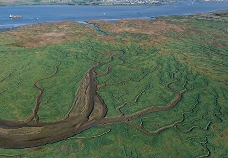 Luchtfoto het Land van Saeftinghe