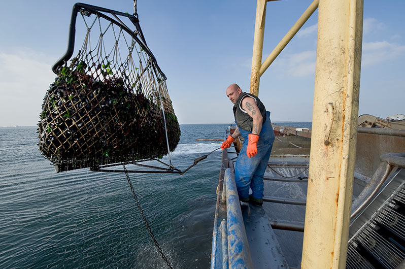 Werken als projectleider in de bouw in Zeeland. Werken in Zeeland heeft veel voordelen. Lees hier welke!