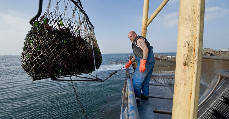 Werken als projectleider in de bouw in Zeeland. Werken in Zeeland heeft veel voordelen. Lees hier welke!