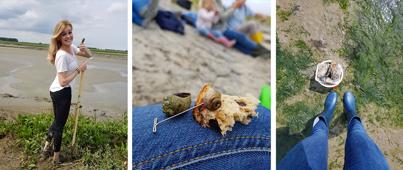 Collage met Saeftinghe en het rapen van kokkels