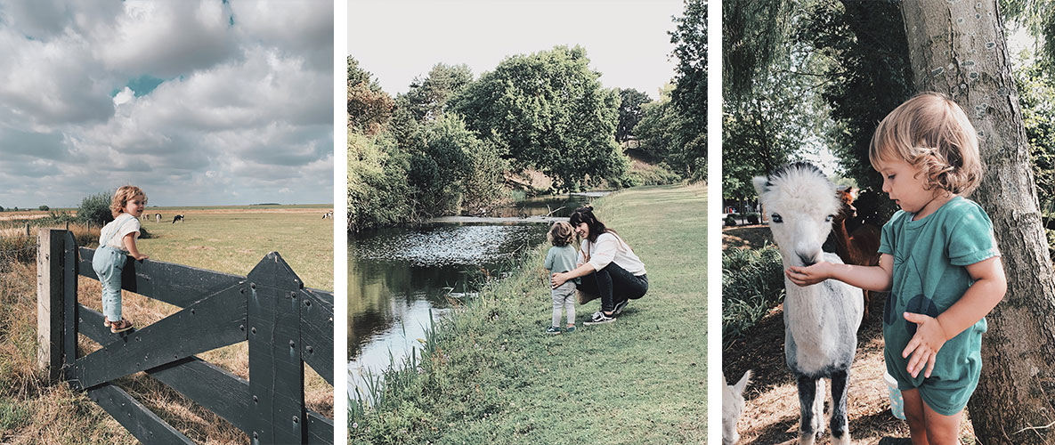 Drieluik van foto's met kijkende peuter naar koeien, alpaca's en wandelen in het bos