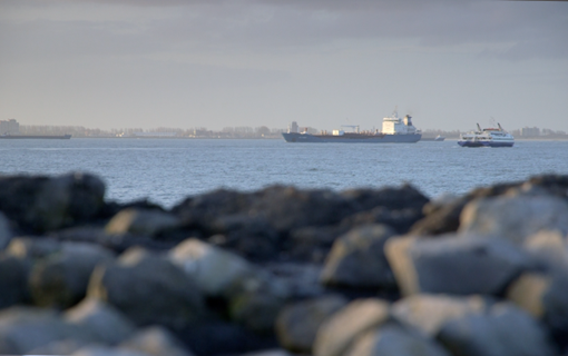 Merkpositionering shaping the future delta