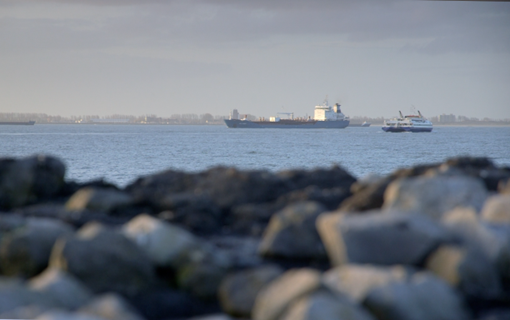 Merkpositionering shaping the future delta