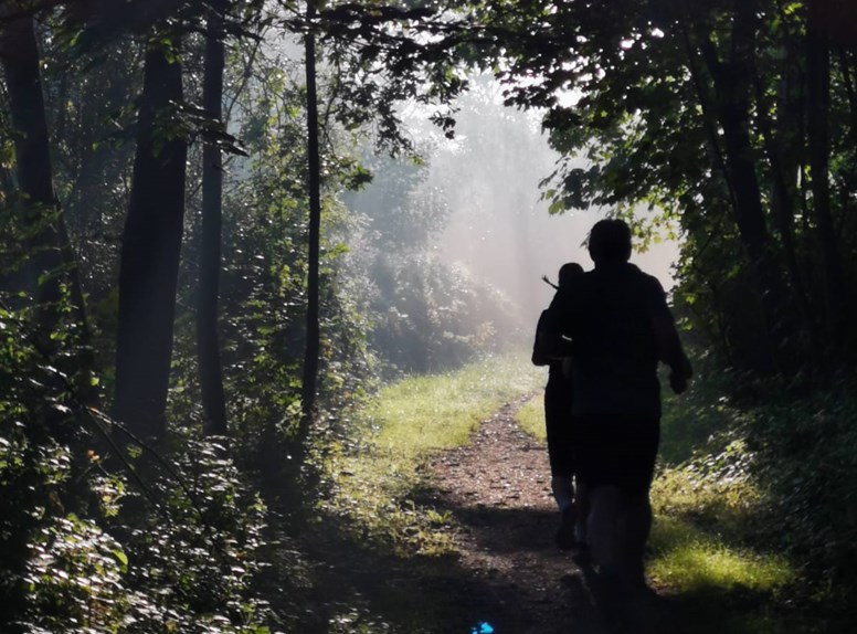 Hardlopen in de Zeeuwse bossen