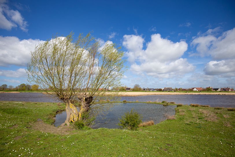 Nature reserve The Groote Gat