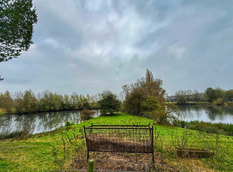 Nature reserve Brillejesweel