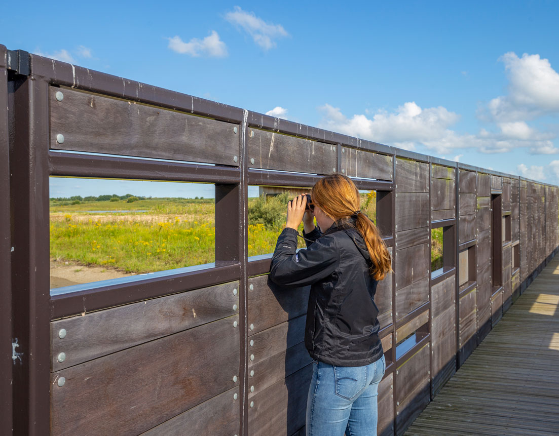 Nature reserve Waterdunen in Zeeland