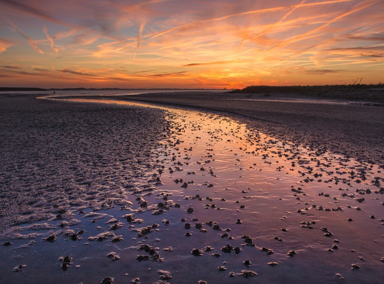 Zonsondergang in natuurgebied met op de achtergrond woningen in Zeeland.